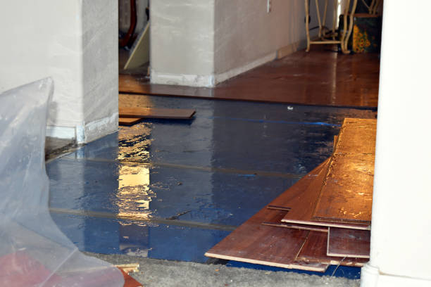 Professional Emergency Water Damage Restoration technician working in New Market, MD
